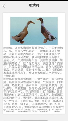 鹅鸭之家无广告版图3