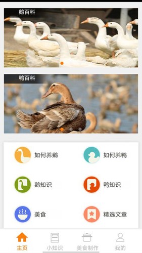 鹅鸭之家无广告版图2
