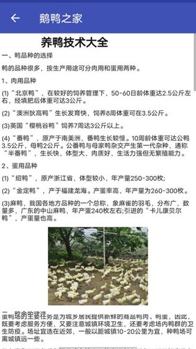 鹅鸭之家无广告版图4
