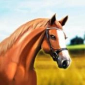 德比生活安卓官方版