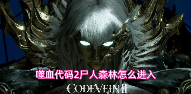 噬血代码2中尸人森林的进入方法是什么