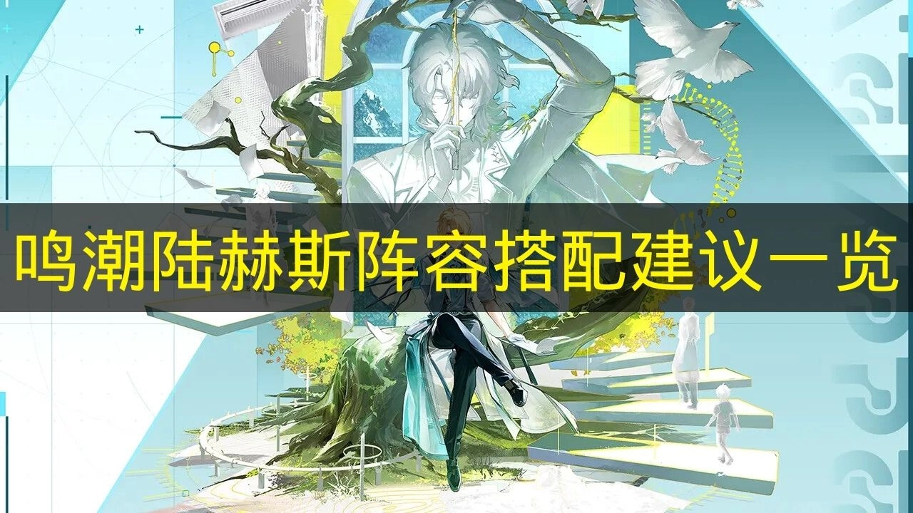 关于《鸣潮》陆赫斯阵容搭配的详细建议盘点