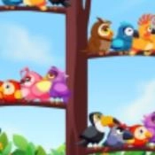 小鸟爱排序安卓版