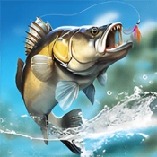 钓鱼绝不空军游戏官方最新版
