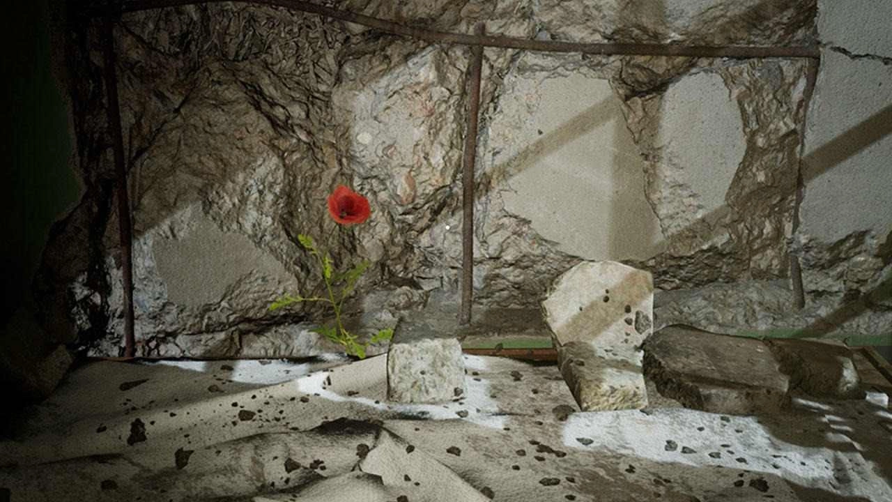 画室安卓直装版