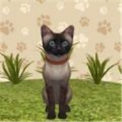 哈哈宠物养成通用版