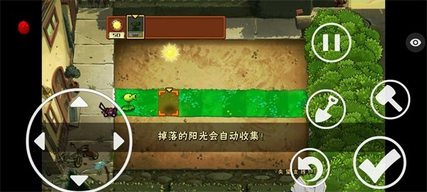 植物大战僵尸失望支线官方版