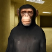 全民乱斗大逃亡游戏最新版