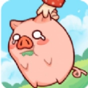 抓呀抓呀抓直装版