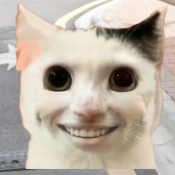 拯救小宠物直装版