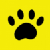 养猫日记最新免费版