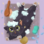 收纳解压物语游戏无广告版