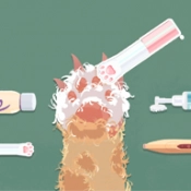 小小收纳达人原版