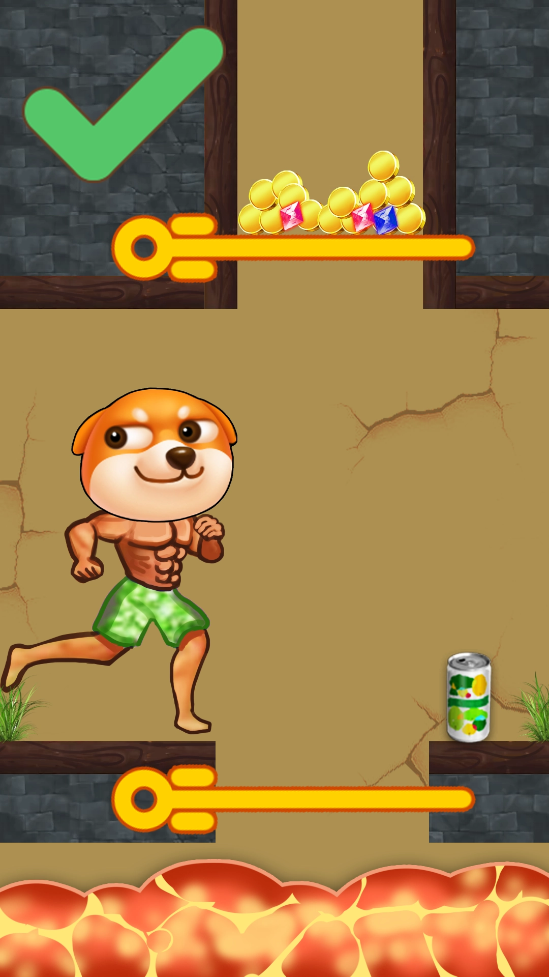 金牌脑洞大师直装版