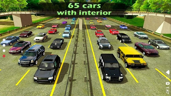 真实停车场最新版(4)