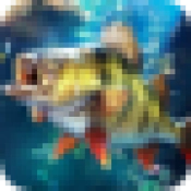 欢乐钓鱼大师国际服最新免费版