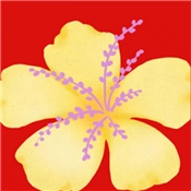 花好月圆游戏无广告版