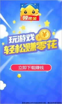 数字生花直装游戏版