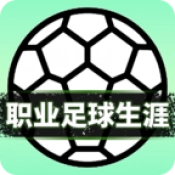职业足球生涯手游直装版