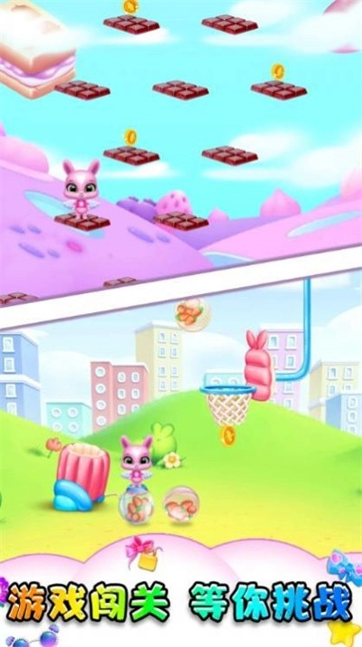 小动物大派对安卓版