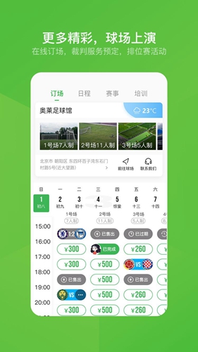 绿茵场免费原版图3