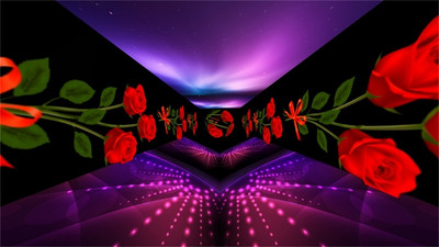 幻影3D通用版图5