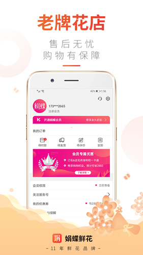 娟蝶鲜花免费原版图5