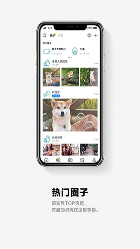 它福手机免费版图1