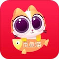 觅鱼猫手机版