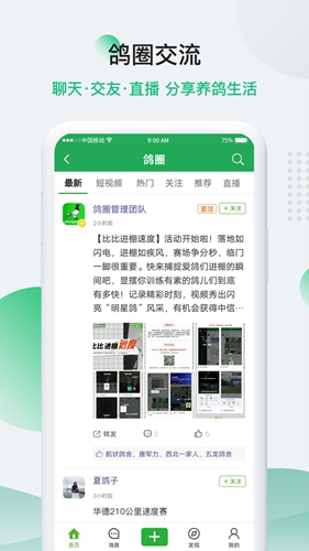 中国信鸽信息网安卓版图2