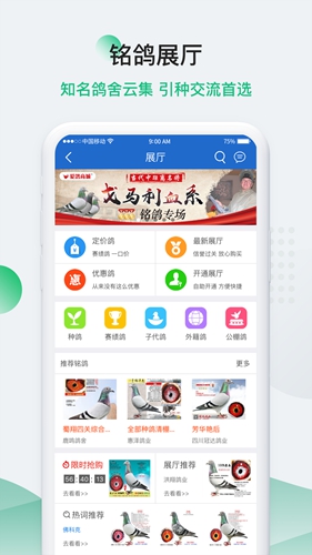 中国信鸽信息网安卓版图3