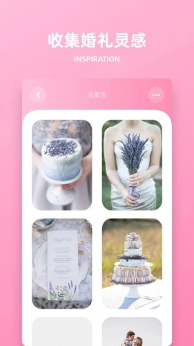 婚礼时光安卓版图3