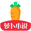 萝卜小说原版