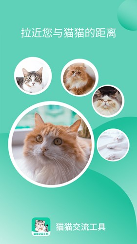 猫猫交流工具手机版图1