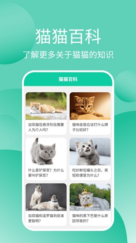 猫猫交流工具手机版图2