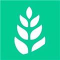 青麦通用版
