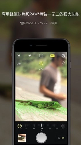 Halide Mark II图3