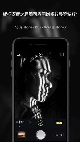 Halide Mark II图1