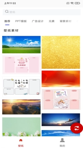 白鸽壁纸最新免费版图1