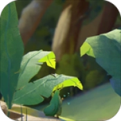 养兔红包来官方版