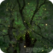 维洛卡之地游戏最新版