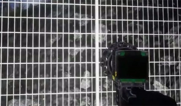 诡异动物园安卓直装版