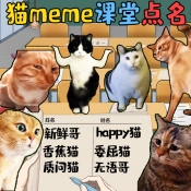 猫meme热梗游戏安装包
