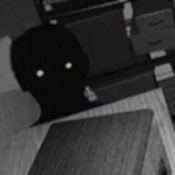 寻找伪人游戏正版