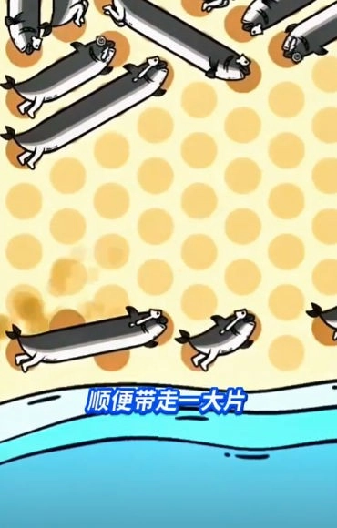 这关很难过正版