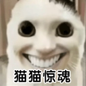 恐怖大蓝猫游戏安装包