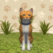 可爱萌宠世界官方正版