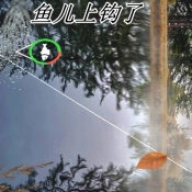 极限钓鱼大师游戏官方版