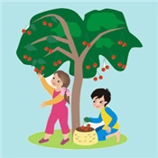 收获金秋手机最新版