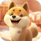 旺财快来直装版